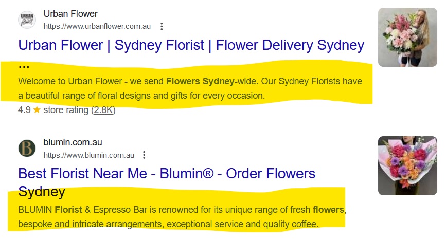 Google search results with the meta description of each result highlighted in yellow.